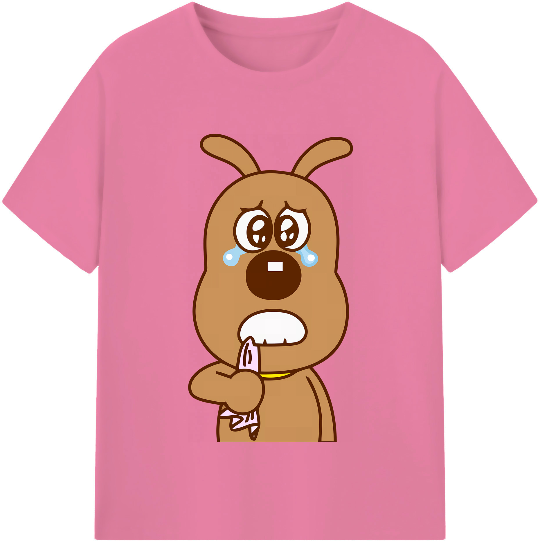 （画像用） アンパンマン Anpanman 綿100％半袖Tシャツ（フロントプリント）